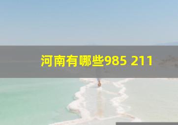 河南有哪些985 211